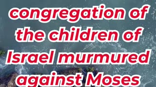 “The People Complain in the Wilderness” exodus 16:2. #shortvideo #youtubeshorts #ytshorts #youtube