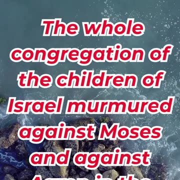 “The People Complain in the Wilderness” exodus 16:2. #shortvideo #youtubeshorts #ytshorts #youtube