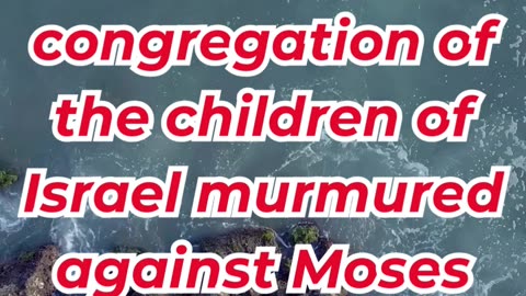 “The People Complain in the Wilderness” exodus 16:2. #shortvideo #youtubeshorts #ytshorts #youtube