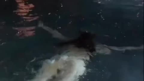 Sexy girl - extremely beautiful swimming girl