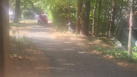 Unnannounced visit from Kent PD