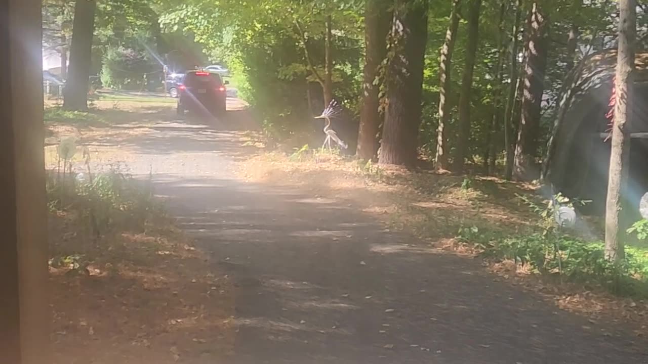 Unnannounced visit from Kent PD