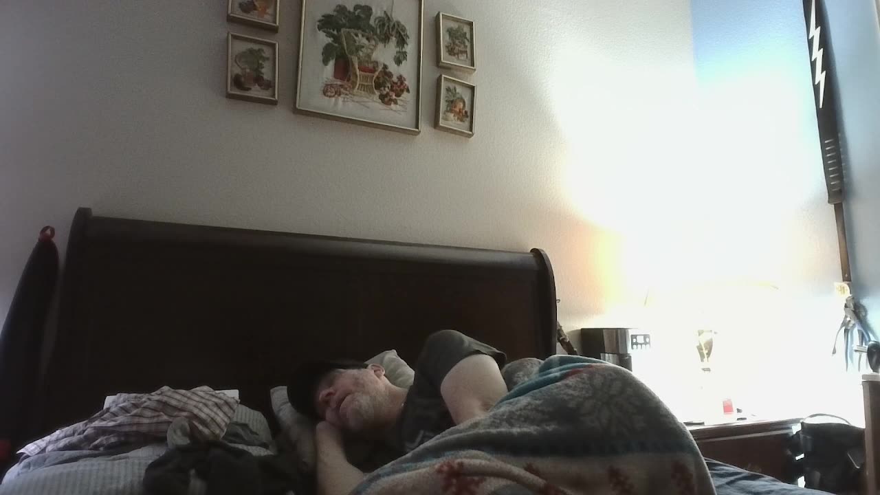 TI livestream all day