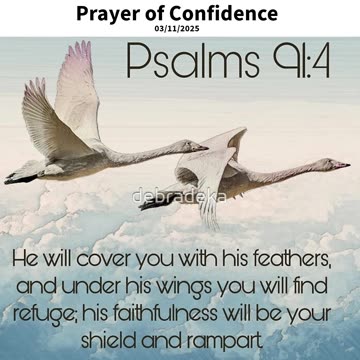 Prayer of Confidence #youtubeshorts #grace #jesus #mercy #faith #fyp #trust #joy #bless #love #thank