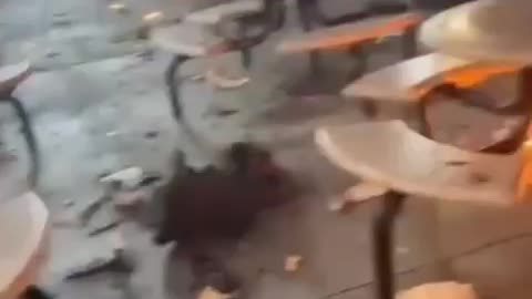 New video shows the immediate aftermath of the plane crash in Philadelphia.