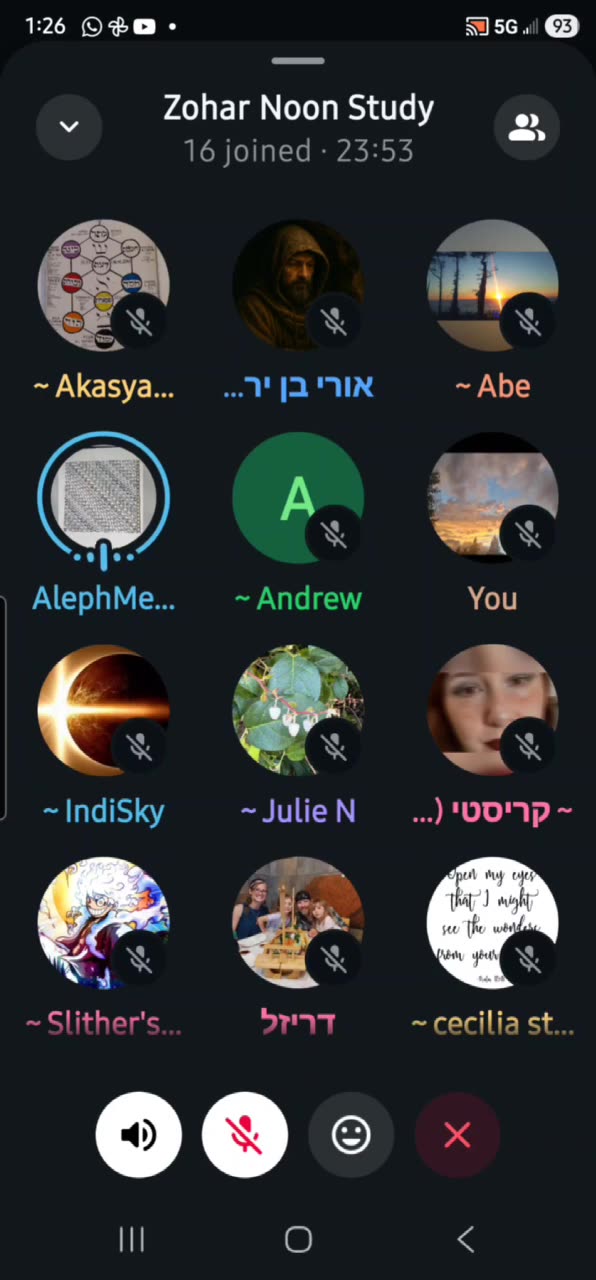 Noon Zohar. ALEPH 🤍. I will praise Hashem with my whole heart. (VAYISHLACH 29) 11/11/25