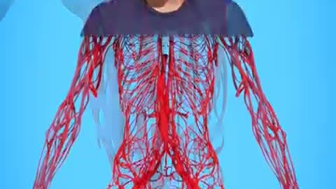 viral video