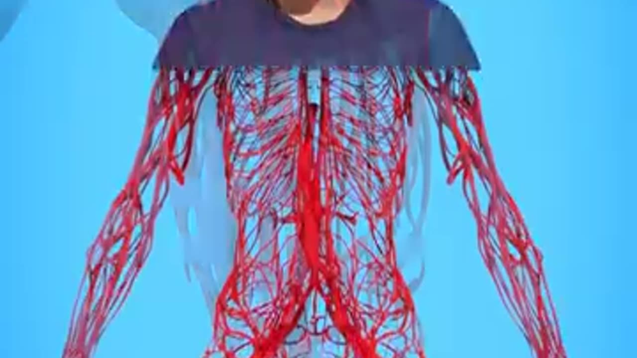 viral video