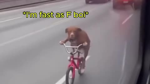 Fast as F boi