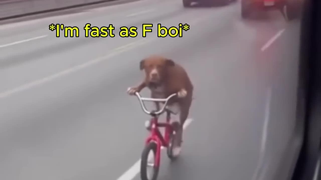 Fast as F boi