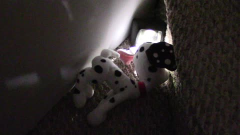 ‎September ‎5, ‎2020, ‏‎1:21:42 AM