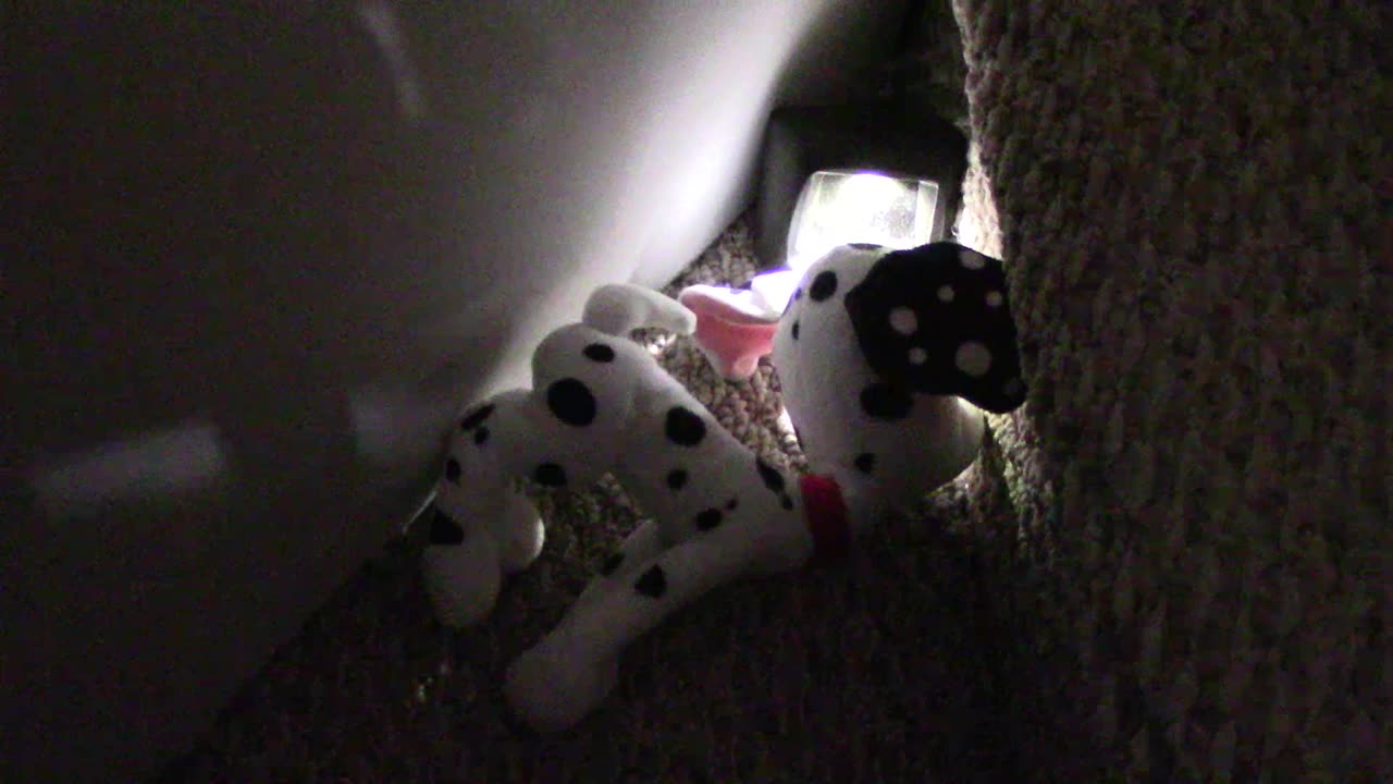 ‎September ‎5, ‎2020, ‏‎1:21:42 AM