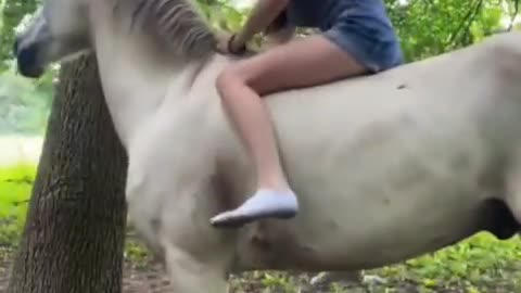 The 2nd one helping her with the leg ... the head hugs... omg..... 🥹