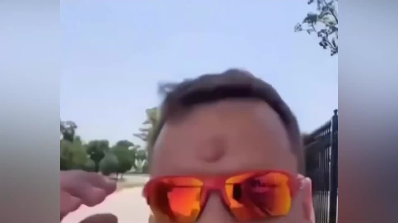 Memes are unimaginably funny