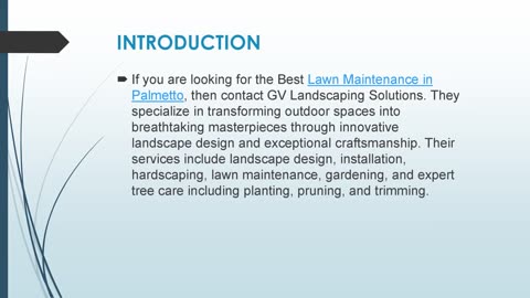 Best Lawn Maintenance in Palmetto