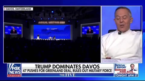 President Trump is a PIT BULL & he’s protecting our yard