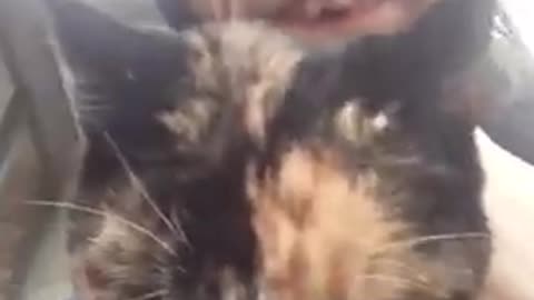 Cyraxx - My stray Fur baby Showed up [DELETED] (Oct 23, 2021) #cyrax