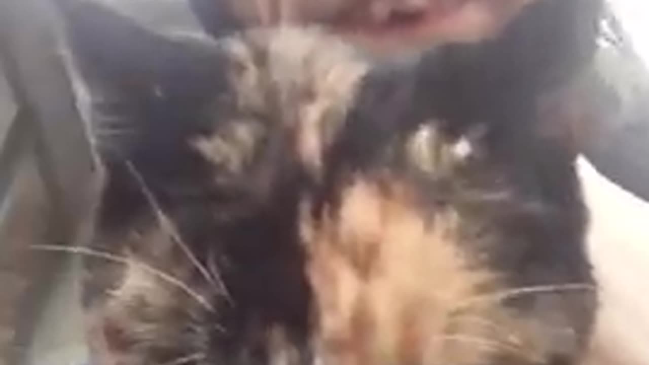 Cyraxx - My stray Fur baby Showed up [DELETED] (Oct 23, 2021) #cyrax