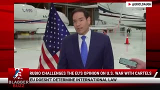 Rubio Challenges The EU's Opinion On U.S. War With Cartels