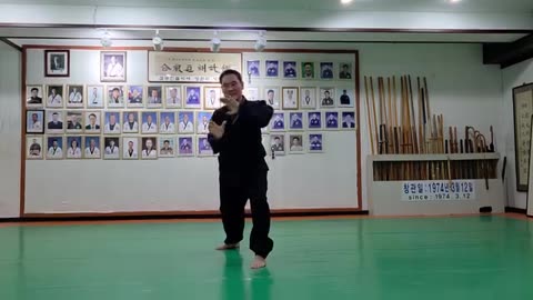 Hapkido