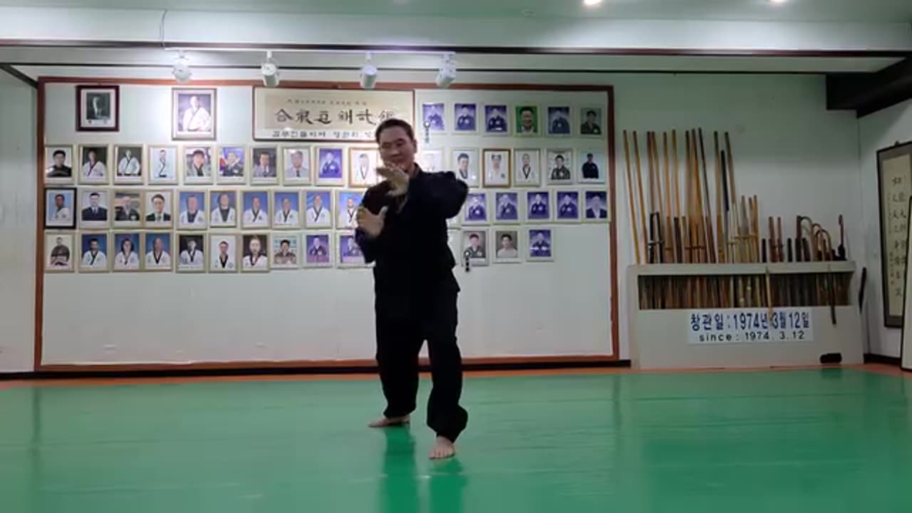 Hapkido