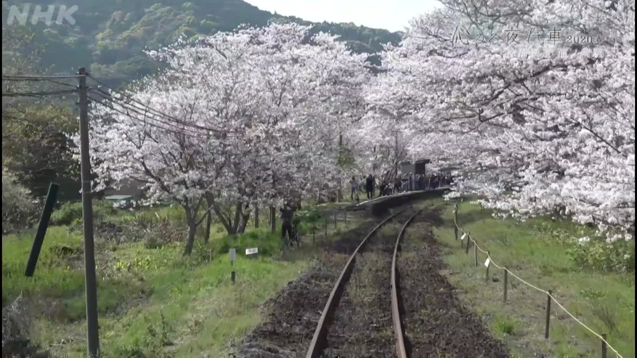 沁みる夜汽車 2020春