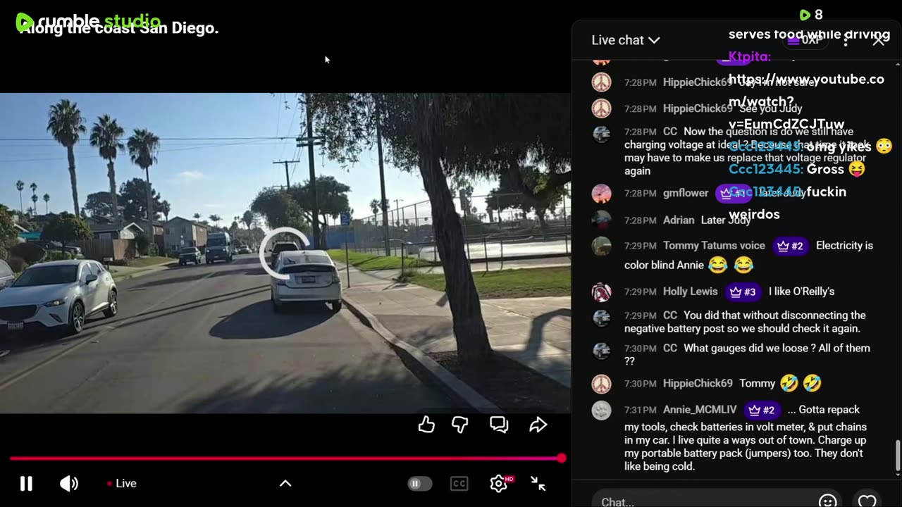 DIPSHIT - N - DRIVIN'