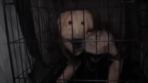 😱💥 The Most Possessed TikToker Ever! | TheHauntingHour