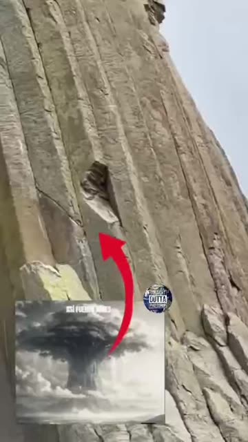 This is the stump of one of the giant, ancient silicon trees (Read Description)