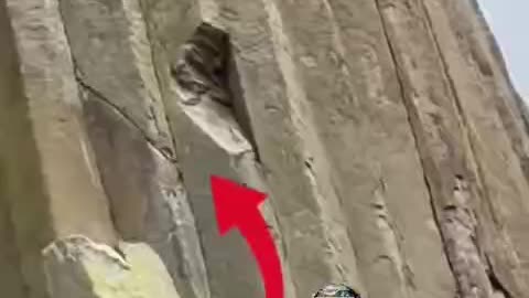 This is the stump of one of the giant, ancient silicon trees (Read Description)