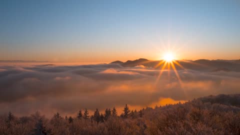 The Word, Necessary Food