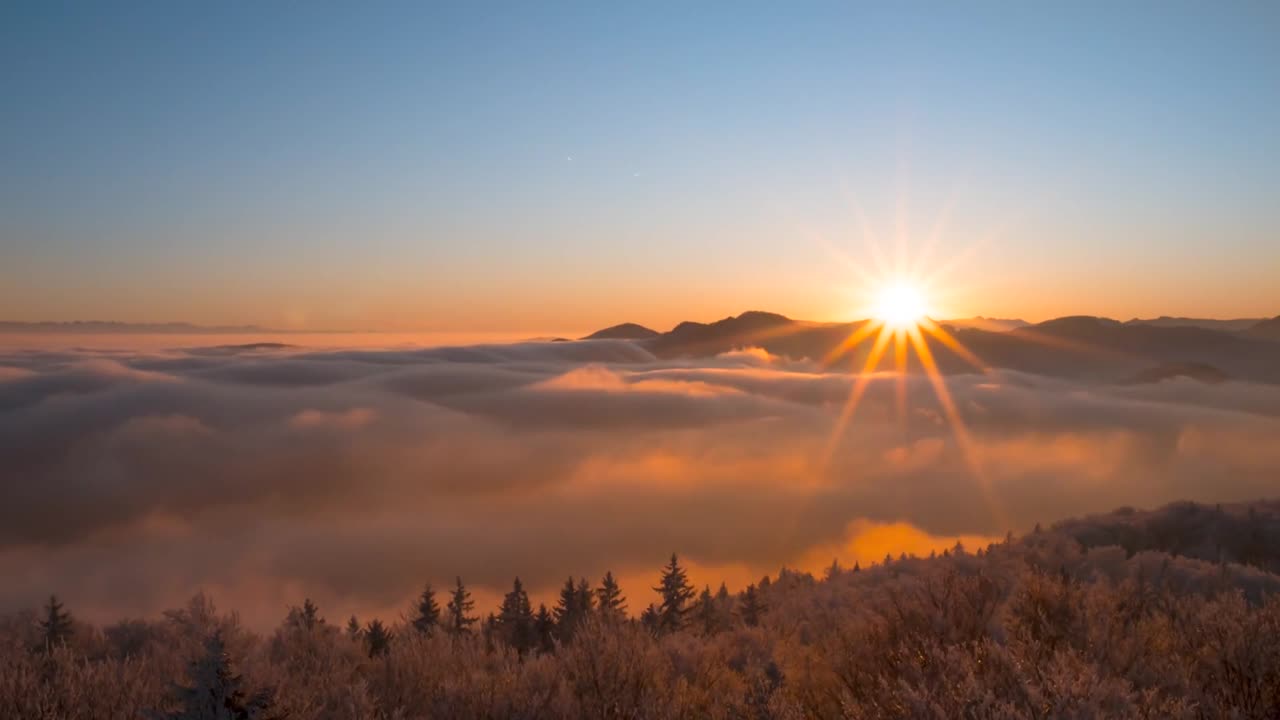 The Word, Necessary Food