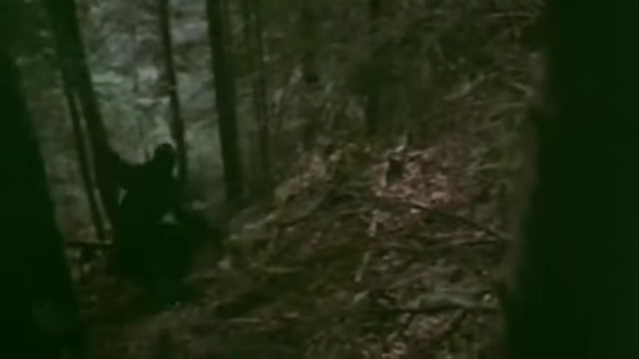 Baltagul Film Romanesc