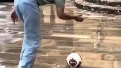 Wow!! FUNNY! Amazing!