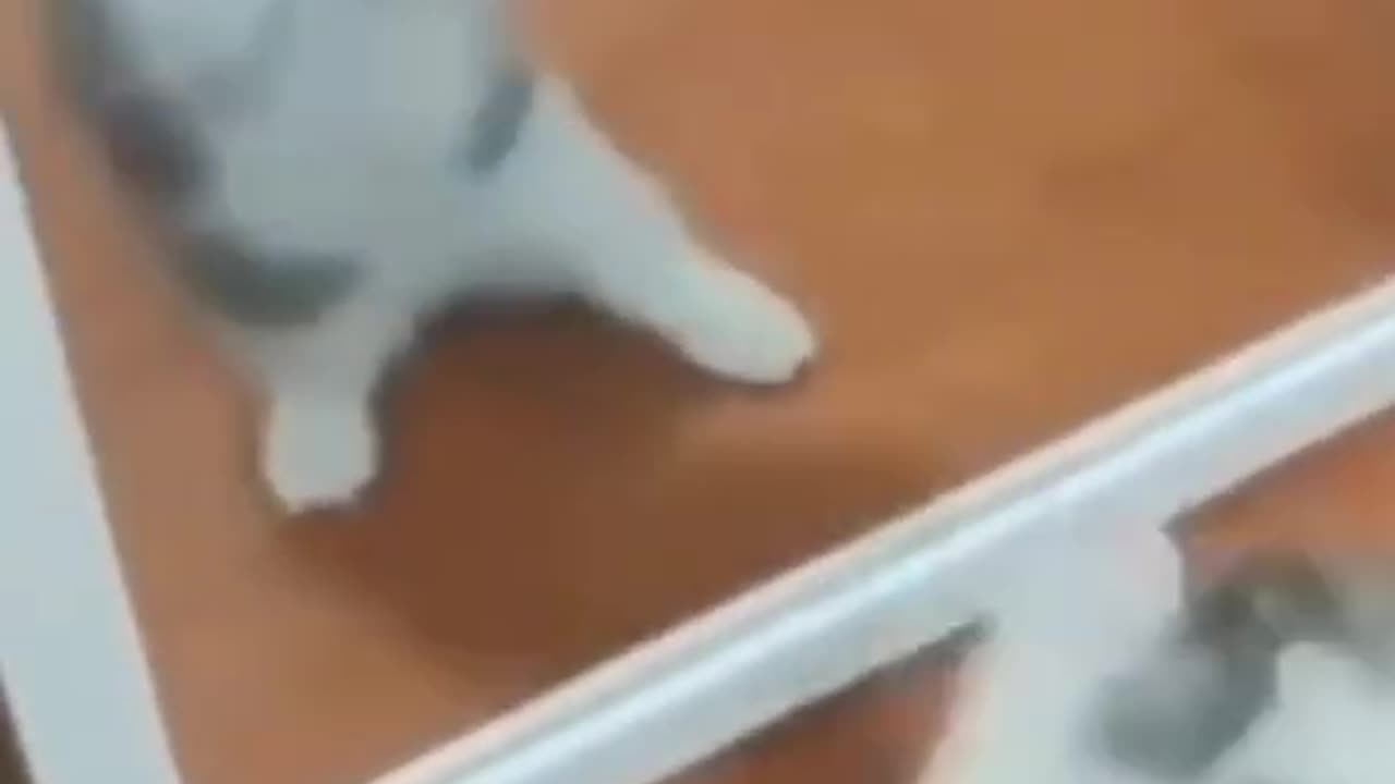Funny