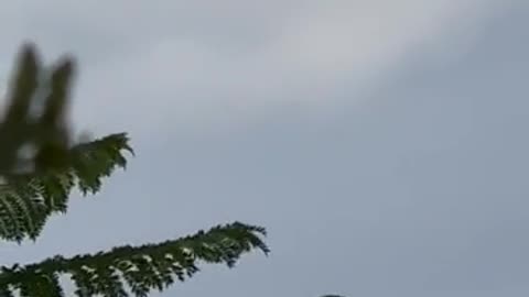 🛸👁️ Is This A Balloon Or Something More? UFO Sighting In Matamoros! | TheTruthAbove