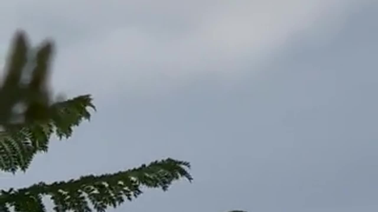 🛸👁️ Is This A Balloon Or Something More? UFO Sighting In Matamoros! | TheTruthAbove
