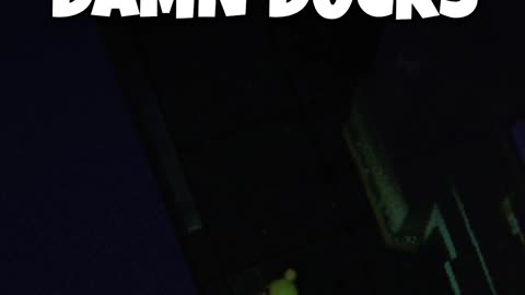 DAMN DUCKS