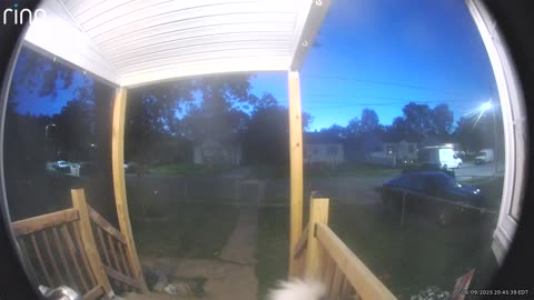 Malamute Rings Doorbell Camera