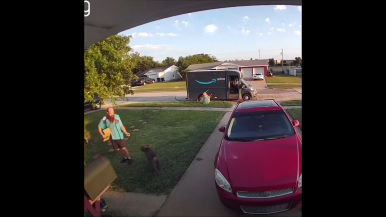 Repartidor rocía con espray un perro y recibe una bofetada del dueño