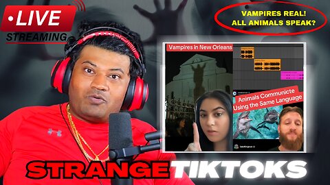 Creepy and Bizarre Tiktok Videos Live Stream with Tedi (pt. 52)