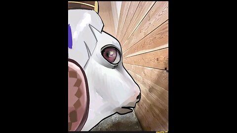 Komedi zeigan × iamnibz