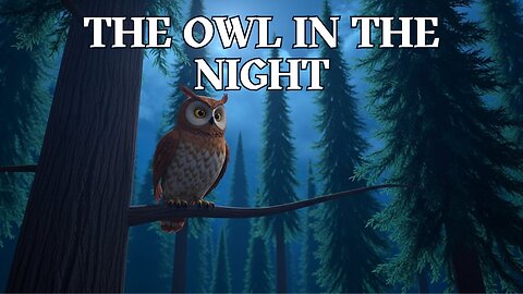 The Owl in the Night - Fun Kids Sing-A-Long