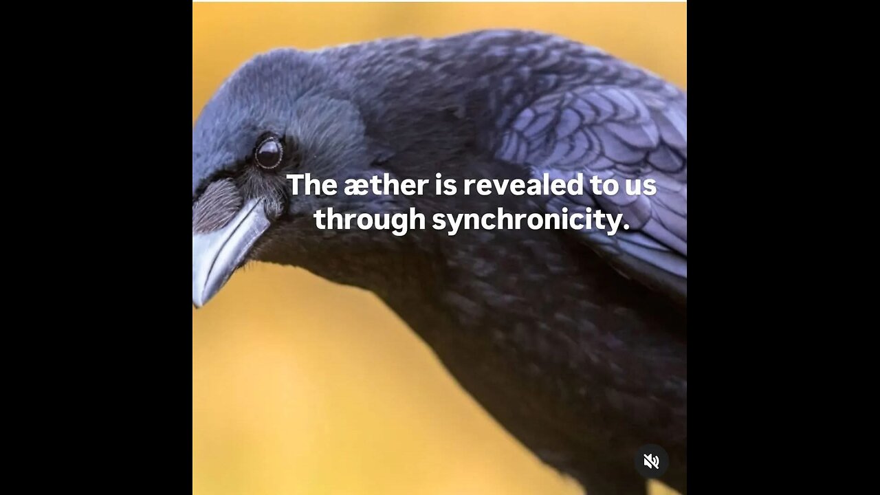 Purple Reign: Sodium Vapor Canopy & More