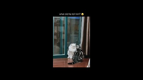“When Life Gives You Funny Mood | Ultimate Meme Shorts”