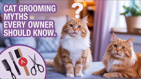 Cat Grooming Myths Every Owner Should Know #cat #catlovers #pets #grooming