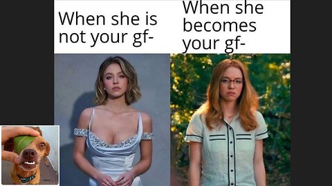 Memes That Will 99.0519% Make You Laugh. (e743)