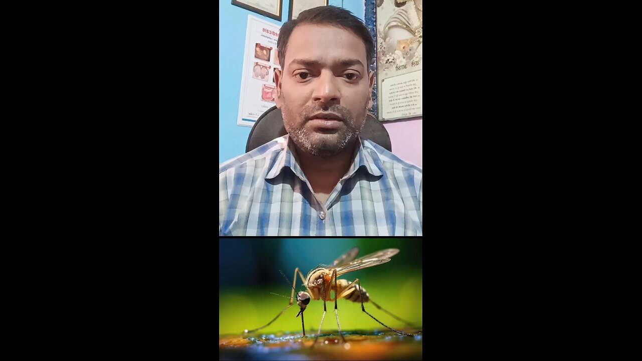 डेंगू का मच्छर कब काटता है ।