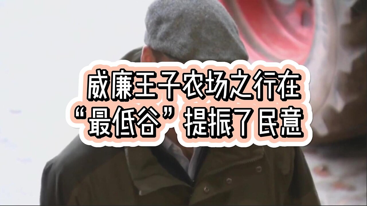 威廉王子农场之行在“最低谷”提振了民意