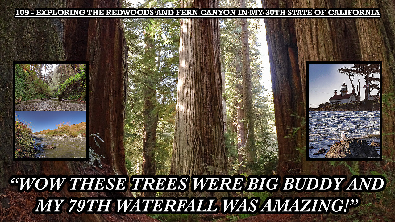 EXPLORING THE REDWOODS AND FERN CANYON IN MY 30TH STATE OF CALIFORNIA